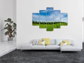 Tablou cu luncă (150x105 cm)