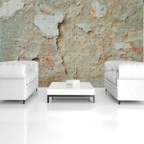Fototapet - Perete (152,5x104 cm)