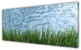 Tablouri acrilice Iarbă Apa Natura Verde Albastru