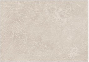 vidaXL Covoare de zonă PALMERAS Bej 340 x 240 cm Poliester