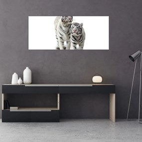 Tablou - Tigrul alb (120x50 cm)