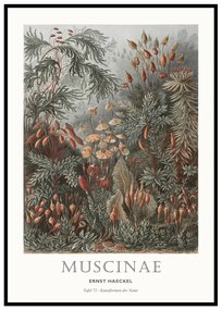 Tablou 51x71 cm Tafel 72 – Malerifabrikken