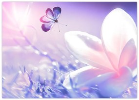 Tablou pe sticlă - Fluture lângă floare (70x50 cm)