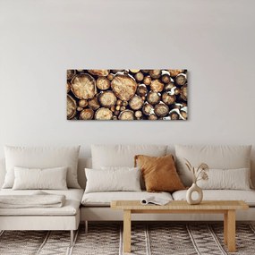 Tablou - Lemn în zăpadă (120x50 cm)
