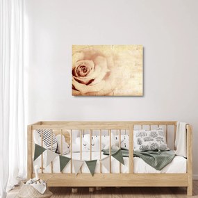 Tablou pe sticlă - floare de trandafir pentru îndrăgostiți (70x50 cm)