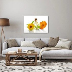 Tablou cu ulei de flori (70x50 cm)