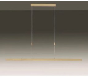 Lustră LED dimabilă pe cablu Paul Neuhaus 2568-60 ADRIANA LED/14W/230V alămie