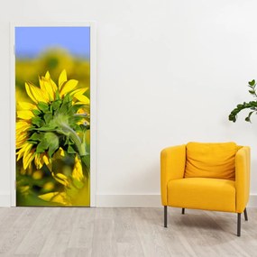 Fototapet pentru ușă - Floarea soarelui (95x205cm)