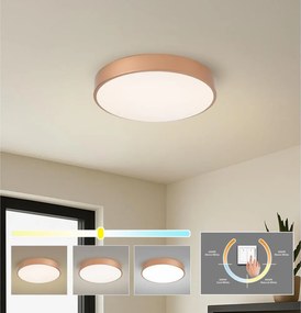 BRILAGI - Corp de iluminat LED de tavan POOL LED/48W/230V 3000/4000/6000K Ø 40 cm cupru