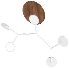 Lampă de perete Ballon 5 C, mai multe variante - TUNTO Model: cadre și parte fixă albe, panou de lemn nuc