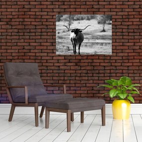 Tablou - Vacă,alb-negru (70x50 cm)