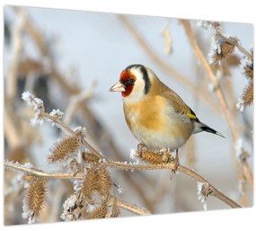 Tablou - Ciredeaua (70x50 cm)