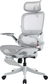 Scaun ergonomic SIHOO B100-PRO, cotiere 4D, tetiera 3D, mecanism multifunctional inclinare/blocare, suport picioare, pivotant, Mesh, Gri