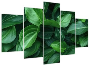 Tablou - Frunze verzi (150x105 cm)