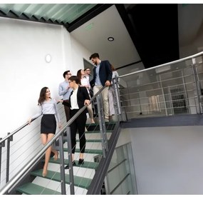 Corp de iluminat LED cu senzor 2 în 1 Kanlux 24605 ERGA LED/17W/230V 3000/4000/6500K alb