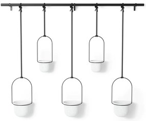 Ghivece decorative 5 buc. din plastic pentru ierburi aromatice/de agățat / de perete ø 7,5 cm Triflora – Umbra