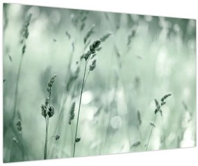 Tablou - Pajiște verde (90x60 cm)