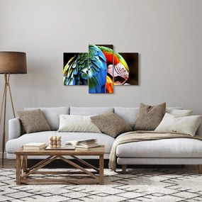 Tablou - Papagal (90x60 cm)