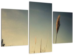 Tablou - Iarba (90x60 cm)