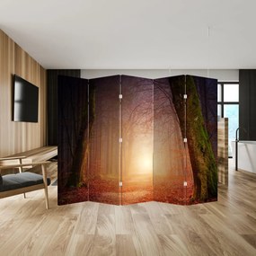 Paravan - pădurea toamna în ceață (210x170 cm)