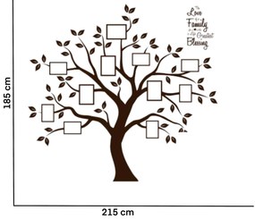 Autocolant de perete "Arbore cu fotografii 3 - culoare maro" 185x215cm