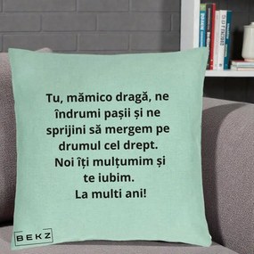 Cadou pentru Mama - Perna Personalizata Mamico Draga Te Iubim La Multi Ani cu Text Negru, 40x40 cm, Verde Menta, Husa Detasabila, Perna Inclusa, BEKZ®