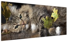 Tablou - Pisica mincinoasă (120x50 cm)