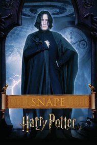 Poster de artă Harry Potter - Snape
