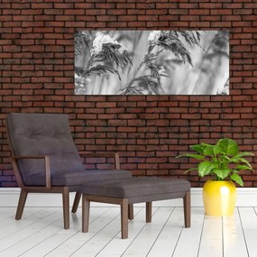 Tablou - Tei,alb-negru (120x50 cm)