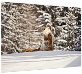 Tablou - Cal în peisaj de iarnă (70x50 cm)