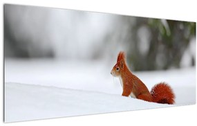 Tablou - Vevetițe (120x50 cm)