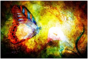 Tablou - Fluture spațial (90x60 cm)