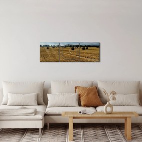 Tablou cu câmp recoltat (cu ceas) (90x30 cm)