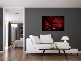 Tablou - Trandafir (90x60 cm)