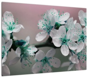 Tablou pe sticlă cu floare - turcoaz (70x50 cm)