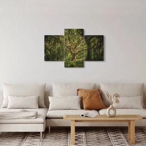 Tablou cu copaci (90x60 cm)