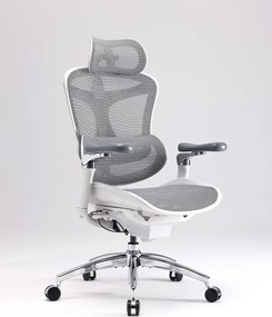Scaun Ergonomic SIHOO Doro C300 Pro M102, Suport Lombar Adaptiv Inteligent, Spătar Reglabil pe Înălțime, Tetieră 3D, Cotiere 6D PU, Șezut Glisant, Reclinare 135°, Mesh, Gri