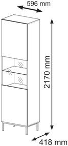 Vitrină 1DS Rowanna (Negru + Auriu). 1124993