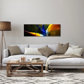 Tablou - Floare exotică (cu ceas) (90x30 cm)