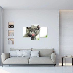 Tablou cu pisicuța lingându-se (90x60 cm)