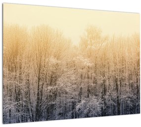 Tablou pe sticlă cu pădure geroasă (70x50 cm)