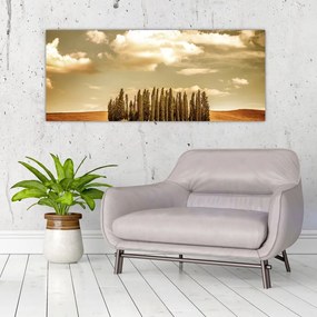 Tablou cu luncă (120x50 cm)