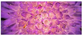 Tablou detailat cu floare (120x50 cm)