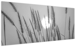 Tablou - Pajiște la apus (120x50 cm)