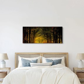 Tablou cu pădure (120x50 cm)