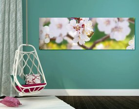 Tablou flori în pom primăvara