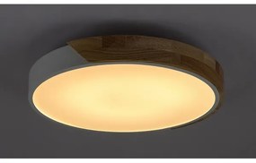 Plafonieră LED MAPLE 24W/230V albă Rabalux 3527