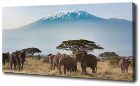 Tablou canvas Elefanți kilimanjaro