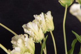 Aranjament floral mare decor festiv design LUX SERENA PARROT TULIP
