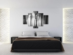 Tablou - Lup în pădurea întunecată (150x105 cm)